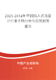 2025-2031年中國插入式流量計行業(yè)市場分析與前景趨勢報告