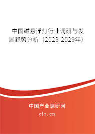 中國磁懸浮燈行業(yè)調(diào)研與發(fā)展趨勢分析（2023-2029年）