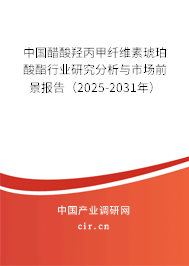 中國醋酸羥丙甲纖維素琥珀酸酯行業(yè)研究分析與市場前景報告（2025-2031年）