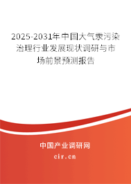 2025-2031年中國(guó)大氣汞污染治理行業(yè)發(fā)展現(xiàn)狀調(diào)研與市場(chǎng)前景預(yù)測(cè)報(bào)告