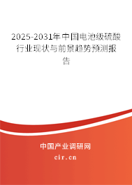 2025-2031年中國電池級硫酸行業(yè)現(xiàn)狀與前景趨勢預(yù)測報告