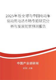 2025年版全球與中國電動車驅(qū)動用馬達市場專題研究分析與發(fā)展前景預(yù)測報告