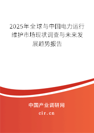 2025年全球與中國電力運行維護市場現(xiàn)狀調查與未來發(fā)展趨勢報告