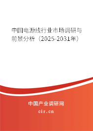 中國(guó)電源線行業(yè)市場(chǎng)調(diào)研與前景分析（2025-2031年）