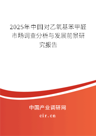 2025年中國對乙氧基苯甲醛市場調(diào)查分析與發(fā)展前景研究報告