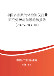 中國多參數(shù)氣體檢測(cè)儀行業(yè)研究分析與前景趨勢(shì)報(bào)告（2025-2031年）