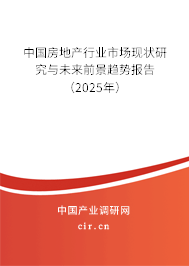 中國房地產(chǎn)行業(yè)市場現(xiàn)狀研究與未來前景趨勢報告（2025年）