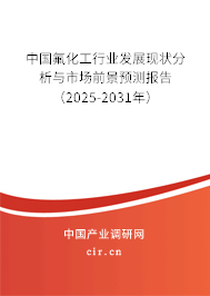 中國(guó)氟化工行業(yè)發(fā)展現(xiàn)狀分析與市場(chǎng)前景預(yù)測(cè)報(bào)告（2025-2031年）