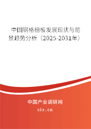 中國(guó)鋼格柵板發(fā)展現(xiàn)狀與前景趨勢(shì)分析（2025-2031年）