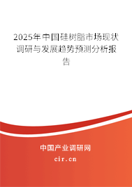 2025年中國硅樹脂市場現(xiàn)狀調(diào)研與發(fā)展趨勢預(yù)測分析報告