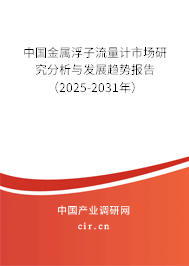 中國(guó)金屬浮子流量計(jì)市場(chǎng)研究分析與發(fā)展趨勢(shì)報(bào)告（2025-2031年）