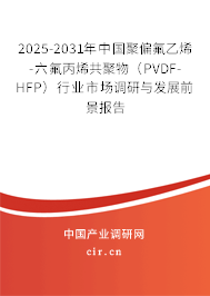 2025-2031年中國聚偏氟乙烯-六氟丙烯共聚物（PVDF-HFP）行業(yè)市場調(diào)研與發(fā)展前景報告
