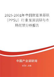 2025-2031年中國(guó)聚亞苯基砜（PPSU）行業(yè)發(fā)展調(diào)研與市場(chǎng)前景分析報(bào)告