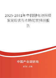 2025-2031年中國鋰電池隔膜發(fā)展現(xiàn)狀與市場前景預(yù)測報告
