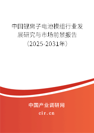 中國鋰離子電池模組行業(yè)發(fā)展研究與市場前景報(bào)告（2025-2031年）