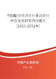 中國臨空經(jīng)濟(jì)區(qū)行業(yè)調(diào)查分析及發(fā)展趨勢預(yù)測報(bào)告（2025-2031年）