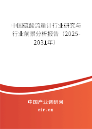 中國硫酸流量計行業(yè)研究與行業(yè)前景分析報告（2025-2031年）
