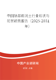 中國(guó)鈉基膨潤(rùn)土行業(yè)現(xiàn)狀與前景趨勢(shì)報(bào)告（2025-2031年）