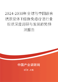 2024-2030年全球與中國嵌合抗原受體T細(xì)胞免疫療法行業(yè)現(xiàn)狀深度調(diào)研與發(fā)展趨勢預(yù)測報告