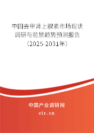 中國(guó)去甲腎上腺素市場(chǎng)現(xiàn)狀調(diào)研與前景趨勢(shì)預(yù)測(cè)報(bào)告（2025-2031年）