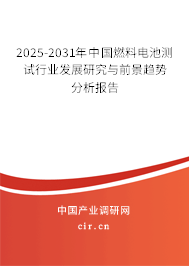 2024-2030年中國燃料電池測試行業(yè)發(fā)展研究與前景趨勢分析報(bào)告