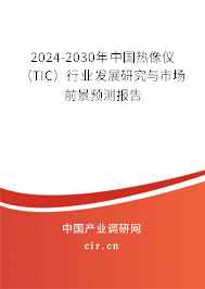 2024-2030年中國熱像儀（TIC）行業(yè)發(fā)展研究與市場前景預(yù)測報告
