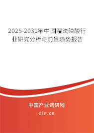 2025-2031年中國(guó)濕法磷酸行業(yè)研究分析與前景趨勢(shì)報(bào)告