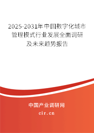 2025-2031年中國數(shù)字化城市管理模式行業(yè)發(fā)展全面調(diào)研及未來趨勢報告