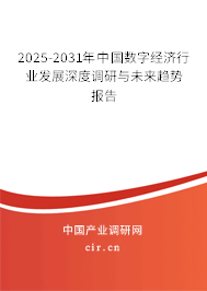 2025-2031年中國數(shù)字經(jīng)濟行業(yè)發(fā)展深度調研與未來趨勢報告