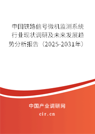中國(guó)鐵路信號(hào)微機(jī)監(jiān)測(cè)系統(tǒng)行業(yè)現(xiàn)狀調(diào)研及未來發(fā)展趨勢(shì)分析報(bào)告（2025-2031年）