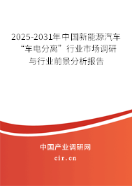 2025-2031年中國新能源汽車“車電分離”行業(yè)市場調(diào)研與行業(yè)前景分析報告