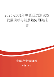 2025-2031年中國(guó)壓力測(cè)試儀發(fā)展現(xiàn)狀與前景趨勢(shì)預(yù)測(cè)報(bào)告