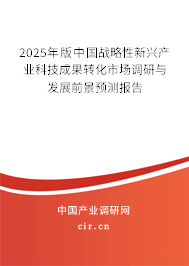 2025年版中國(guó)戰(zhàn)略性新興產(chǎn)業(yè)科技成果轉(zhuǎn)化市場(chǎng)調(diào)研與發(fā)展前景預(yù)測(cè)報(bào)告