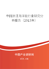 中國浙江海洋能行業(yè)研究分析報告（2013年）