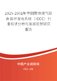 2025-2031年中國整體煤氣聯(lián)合循環(huán)發(fā)電系統(tǒng)（IGCC）行業(yè)現(xiàn)狀分析與發(fā)展前景研究報(bào)告