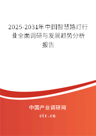 2025-2031年中國(guó)智慧路燈行業(yè)全面調(diào)研與發(fā)展趨勢(shì)分析報(bào)告
