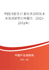 中國IT服務(wù)行業(yè)現(xiàn)狀調(diào)研及未來發(fā)展趨勢分析報(bào)告（2025-2031年）