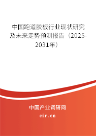 中國跑道膠板行業(yè)現(xiàn)狀研究及未來走勢預(yù)測報告（2025-2031年）