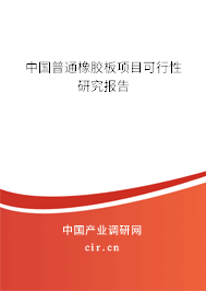中國(guó)普通橡膠板項(xiàng)目可行性研究報(bào)告