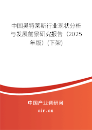 中國奧特萊斯行業(yè)現(xiàn)狀分析與發(fā)展前景研究報告（2025年版）(下架)