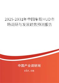 2025-2031年中國車載HUD市場調(diào)研與發(fā)展趨勢預測報告