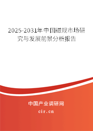 2025-2031年中國(guó)磁規(guī)市場(chǎng)研究與發(fā)展前景分析報(bào)告