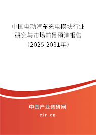 中國電動汽車充電模塊行業(yè)研究與市場前景預測報告（2025-2031年）