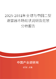 2025-2031年全球與中國(guó)二型避雷器市場(chǎng)現(xiàn)狀調(diào)研及前景分析報(bào)告