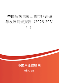 中國負極包覆瀝青市場調(diào)研與發(fā)展前景報告（2025-2031年）