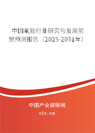 中國氟膠行業(yè)研究與發(fā)展前景預(yù)測(cè)報(bào)告（2025-2031年）