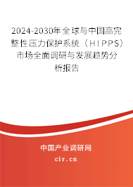 2024-2030年全球與中國高完整性壓力保護系統(tǒng)（HIPPS）市場全面調(diào)研與發(fā)展趨勢分析報告