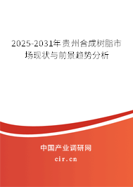 2025-2031年貴州合成樹脂市場現(xiàn)狀與前景趨勢分析