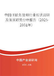 中國IT服務(wù)管理行業(yè)現(xiàn)狀調(diào)研及發(fā)展趨勢分析報(bào)告（2025-2031年）