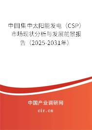 中國集中太陽能發(fā)電（CSP）市場現(xiàn)狀分析與發(fā)展前景報告（2025-2031年）